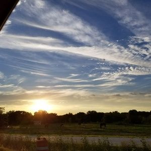 Meet your Posher, Johanna